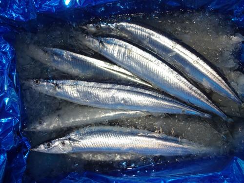 2016  10 1   sannma001.JPG