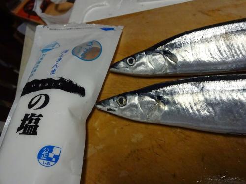 2016  10 1   sannma002.JPG