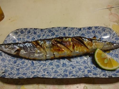 2016  10 1   sannma003.JPG