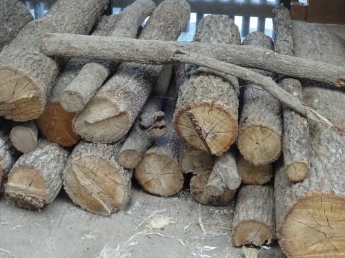 2016  10 1dannro002.JPG