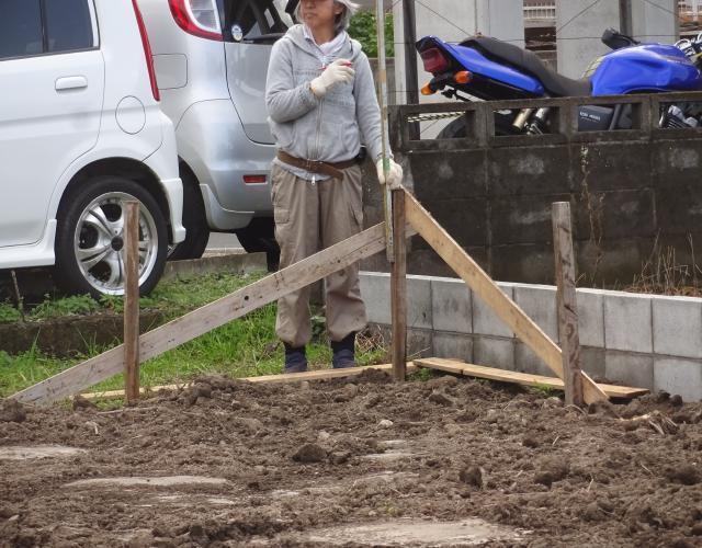 2016  11  20nekiri004.JPG