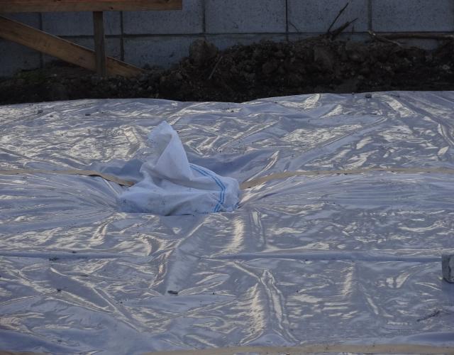 2016  11  20nekiri006.JPG