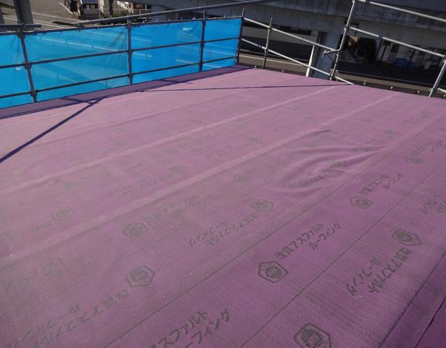 2016  11221yane001.JPG