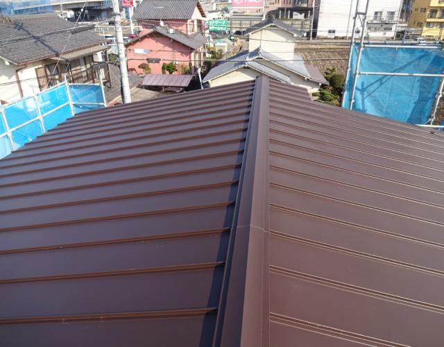 2016  11221yane004.JPG