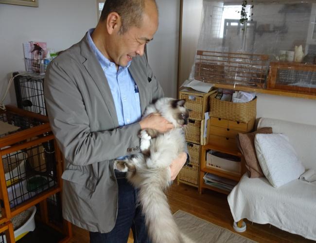 2016  12-26neko001.jpg