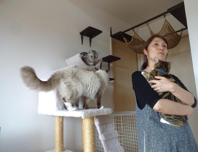 2016  12-26neko002.jpg