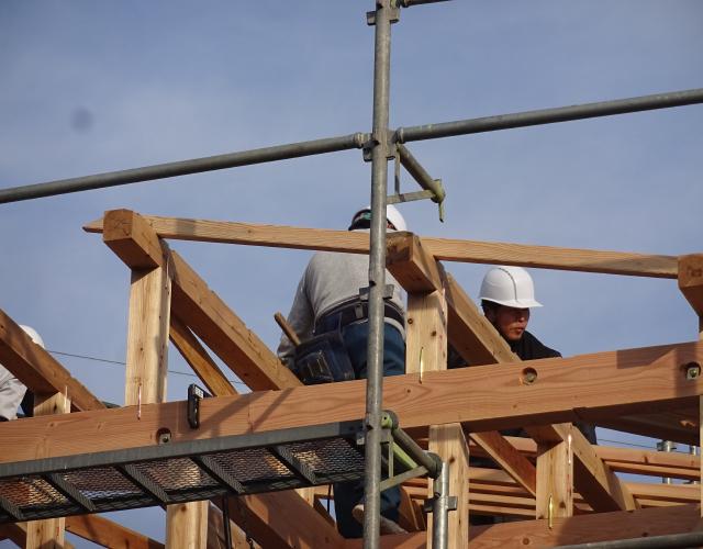 2016  1208jouto008.JPG