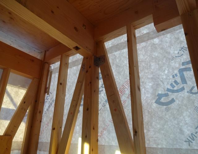 2016  1220kennsa003.JPG