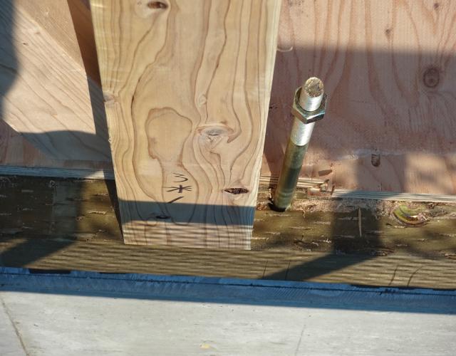 2016  1221ho-rudaunn001.JPG