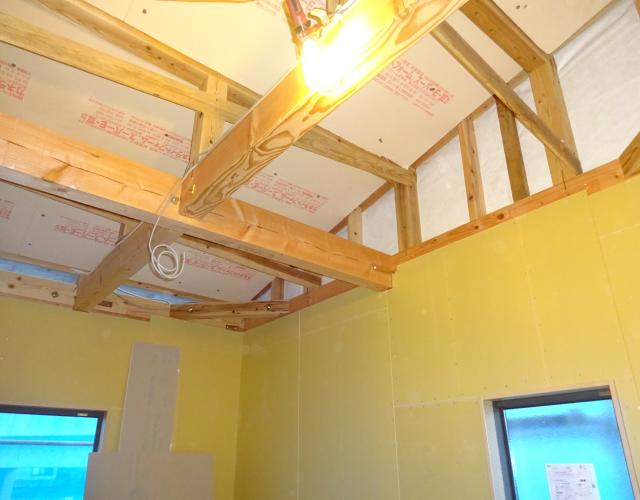 2016  1221koyauradannnetu001.JPG