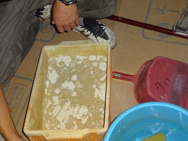 2016 9 11 pateneriNO201.JPG