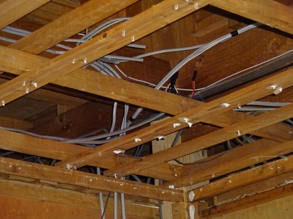 2016 9 2 dannnetu 03.JPG