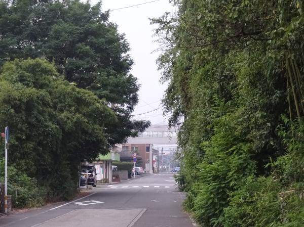 2016 jannguru 001.JPG