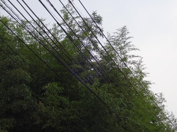 2016 jannguru 003.JPG