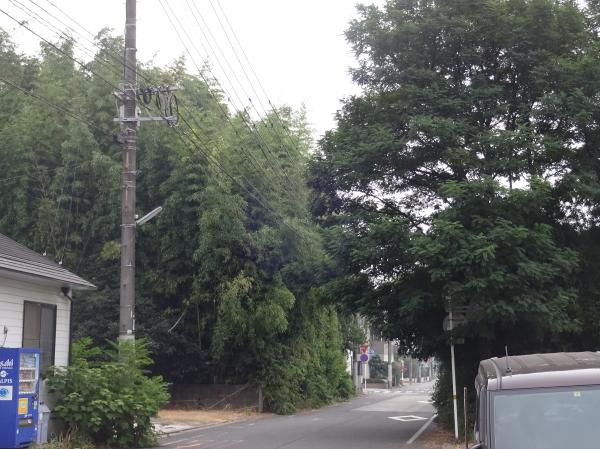 2016 jannguru 004.JPG