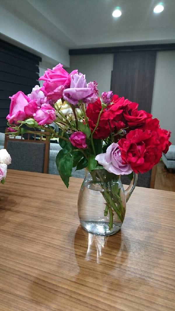 20160520 bara-c01.jpg