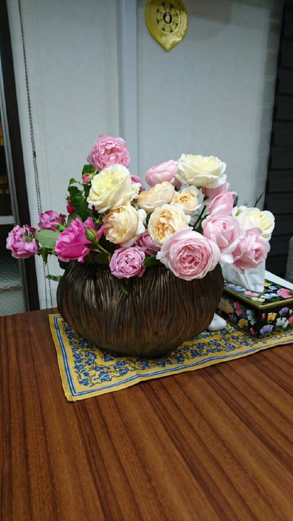 20160520 bara-c03.jpg