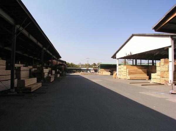 20160603 taisei01.JPG