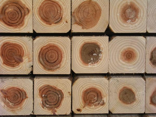 20160603 taisei05.JPG