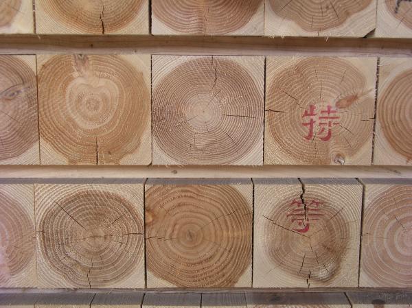 20160603 taisei06.JPG