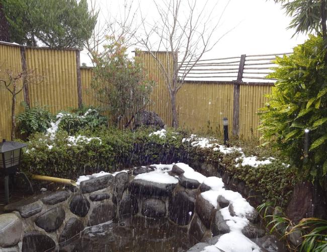 2017  1-15o-na005.jpg