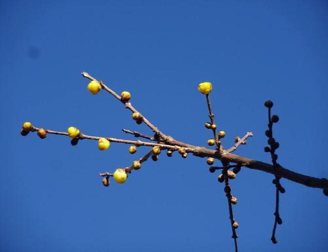 2017  1-25rerwr003.jpg