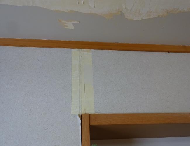 2017  2-1kurosu005.JPG