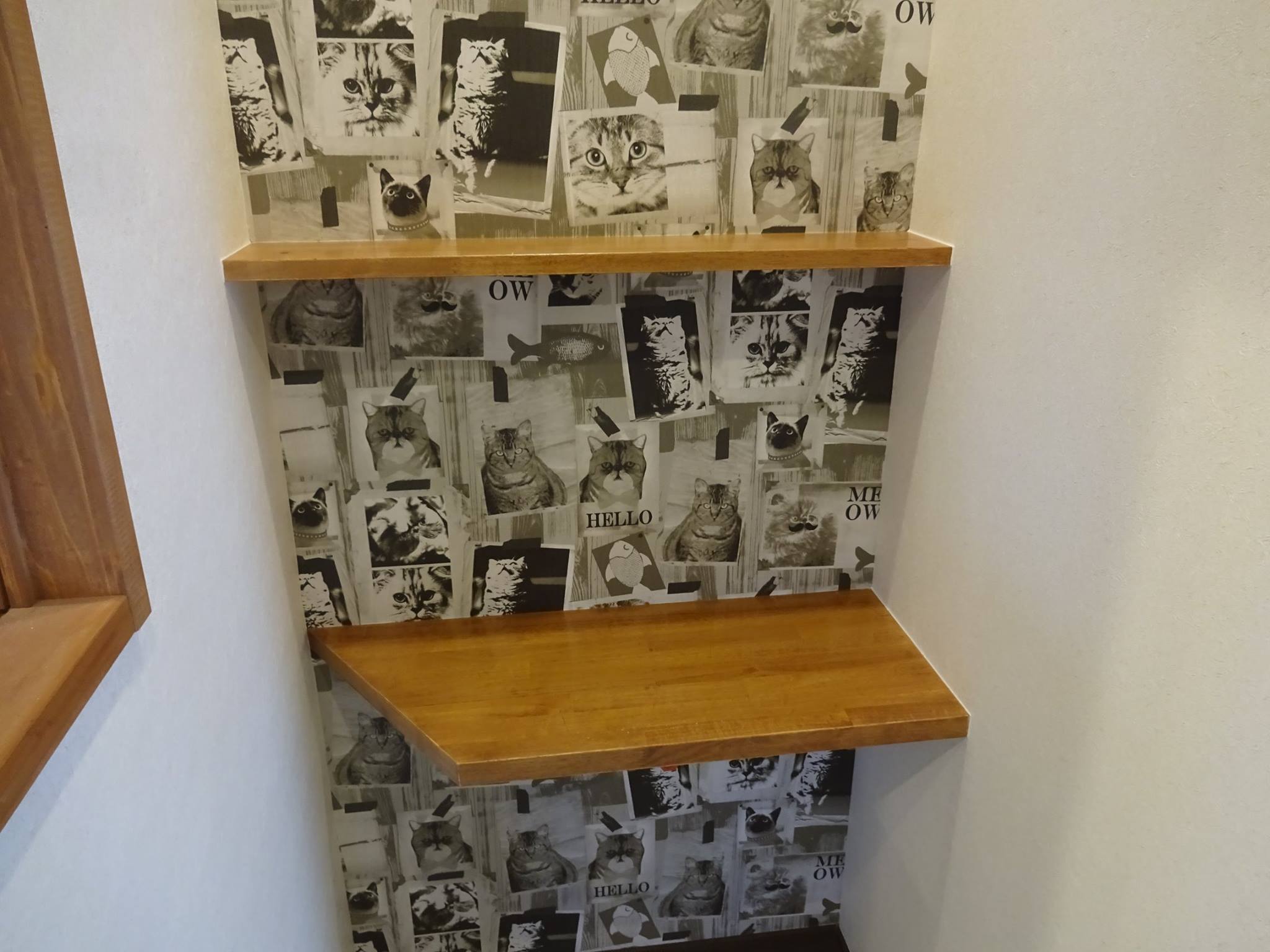 2017  2-3dsasda005.jpg