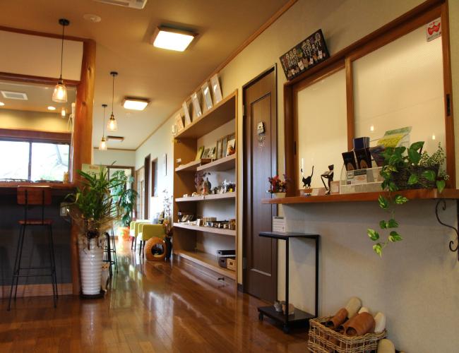 2017 218kannsei003.JPG