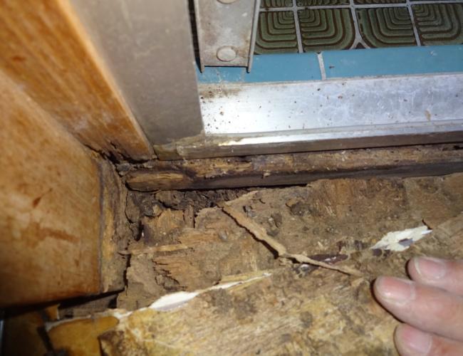 2017 3-1naibu001.JPG