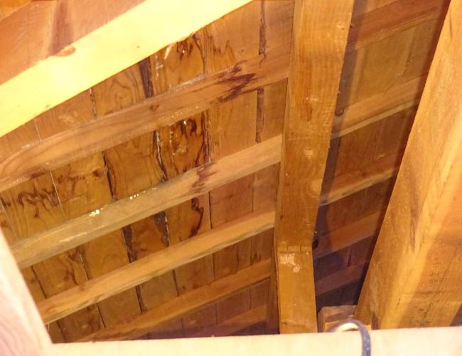 2017 3-1naibu004.JPG