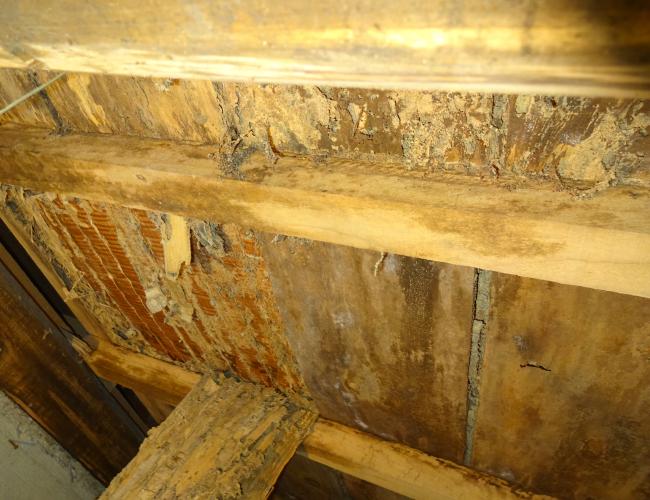 2017 3-1naibu009.JPG