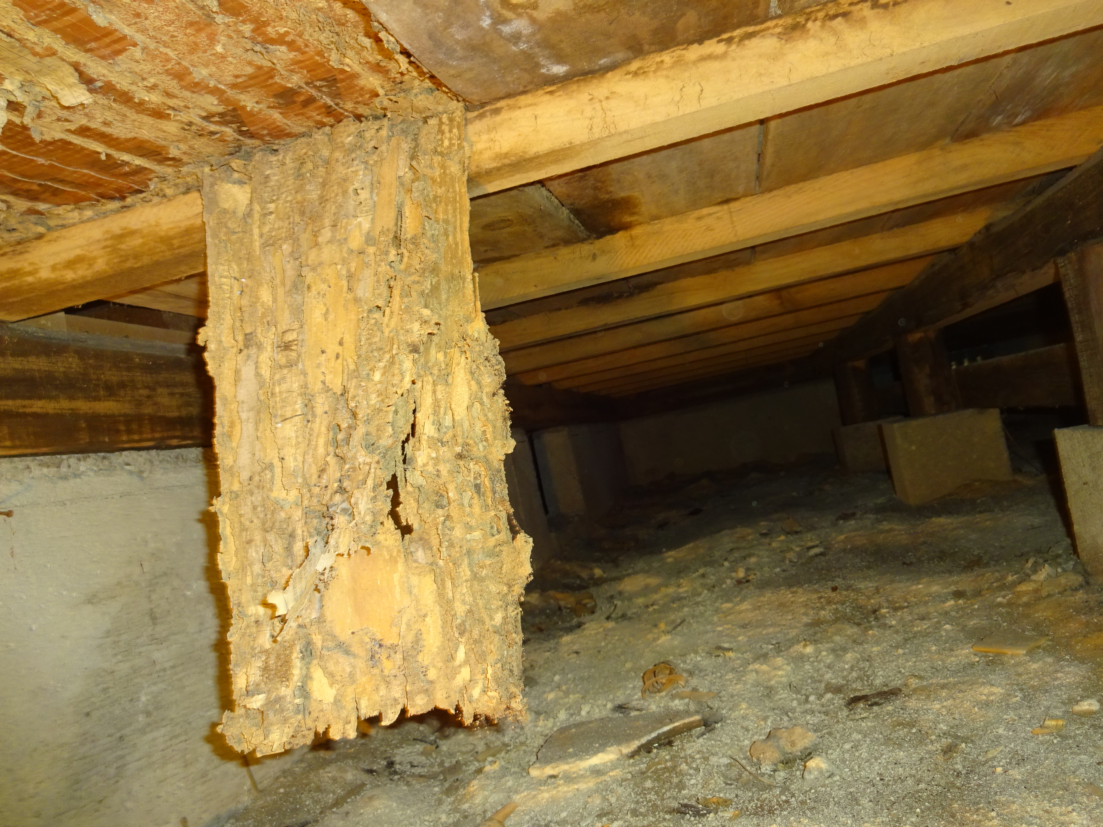 2017 3-1naibu010.JPG