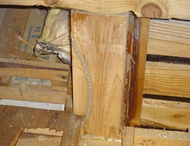 2017 3-6siroari002.JPG