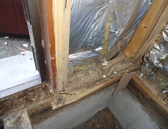 2017 3-6siroari004.JPG