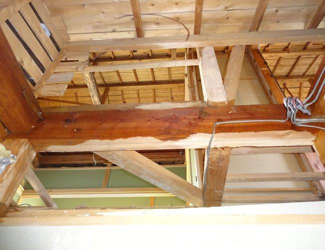 2017 3-7siroari kujo003.JPG