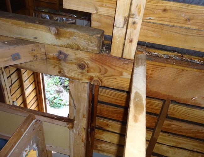 2017 3-7siroari kujo004.JPG