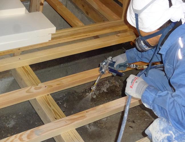 2017 3-7siroari kujo007.JPG